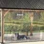 How to Keep Outdoor Pet Areas Clean with Waterproof Covers