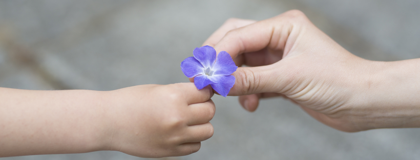 handing blue flower to a child