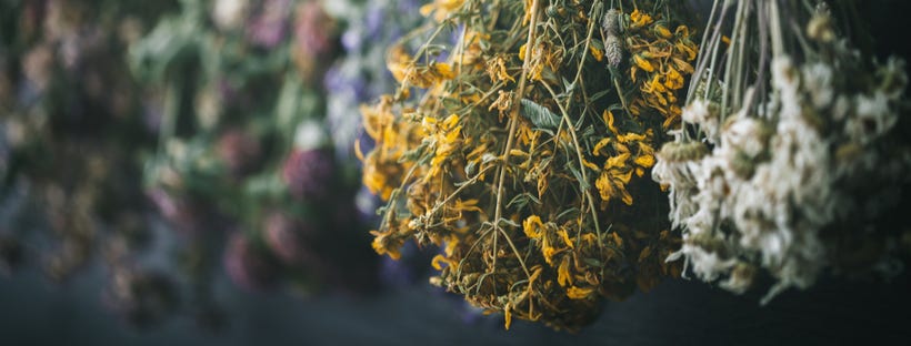 Preserving Herbs