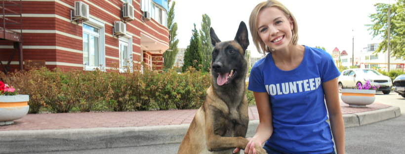 Young volunteer with a dog